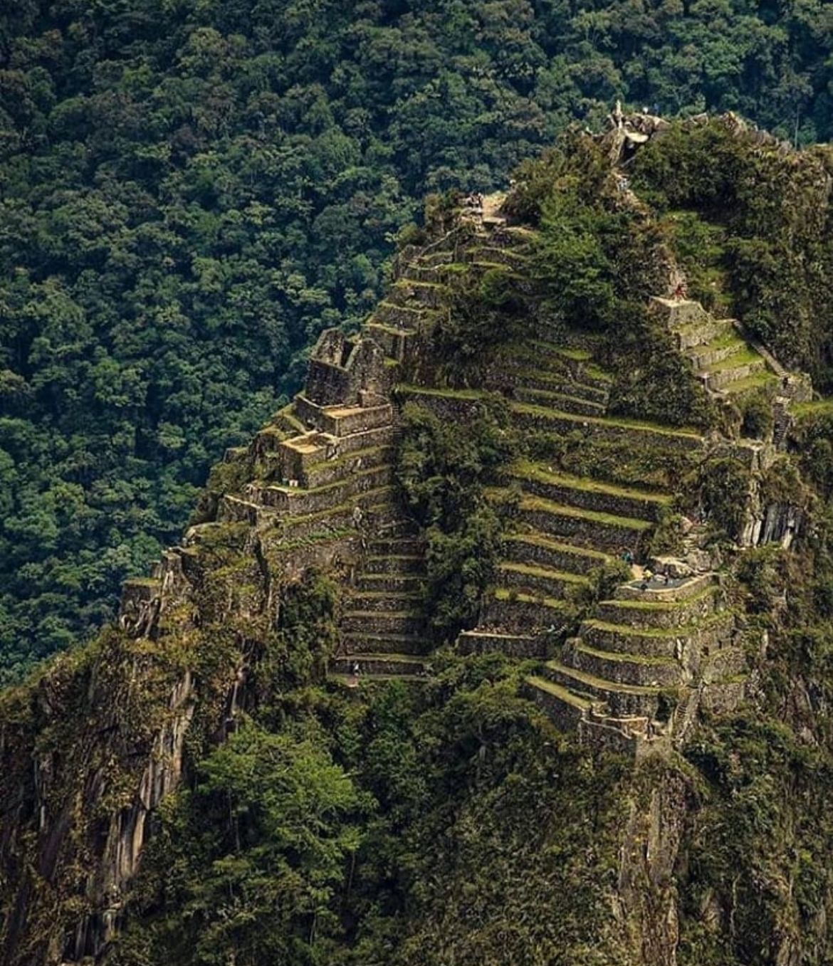 montaña Waynapicchu