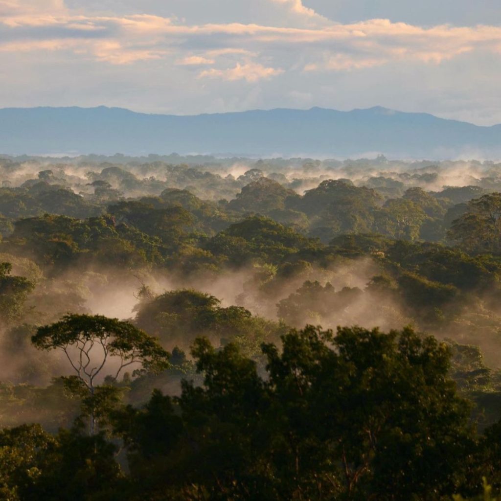 Reserva Nacional de Tambopata: Tesoro de la Amazonía Peruana